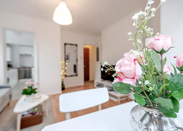 Modern One Bedroom Victoria Apartment